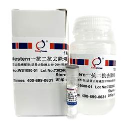 Western一抗二抗去除液（中性，劇烈型）