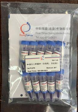 4×蛋白上樣緩沖（非變性，非還原）