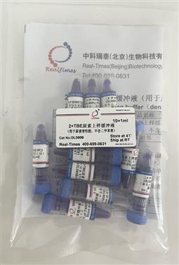 2×TBE尿素上樣緩沖液（用于尿素變性膠，不含二甲苯菁）