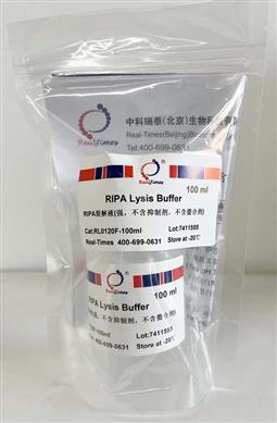 RIPA裂解液(強，不含抑制劑，不含螯合劑)